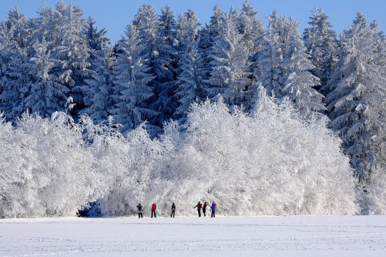 Winterlandschap.jpg