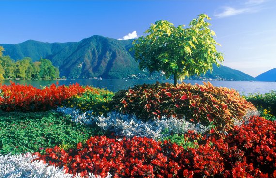Lago Maggiore