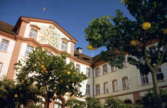 Mainau Mainau