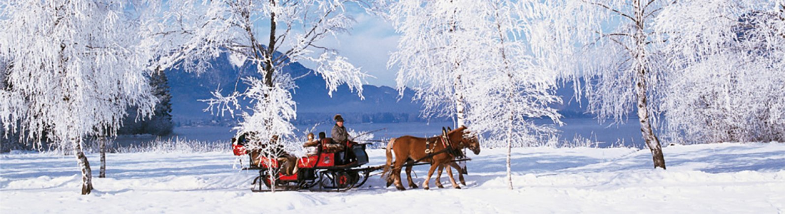 Wintersport