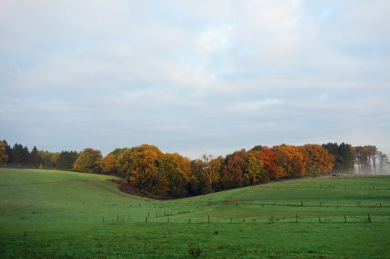 Ardennen landschap