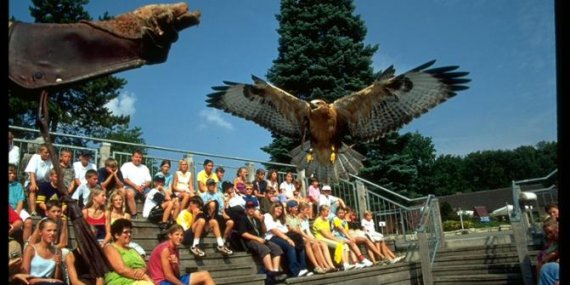 Adlerwarte Berlebeck