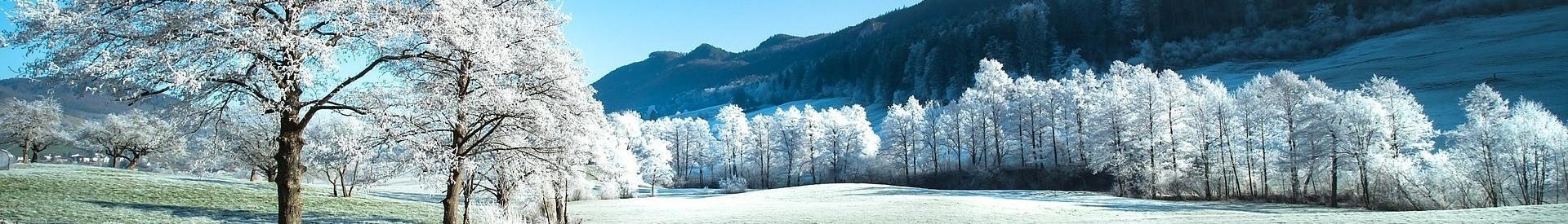 Winterlandschap