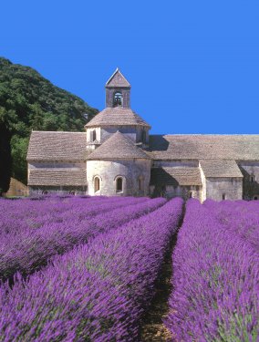 Provence