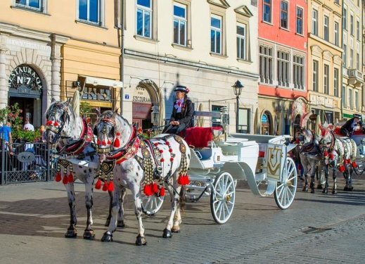 Krakau koets