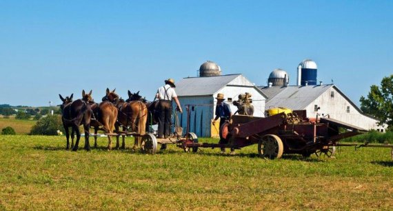 Amish Lancaster